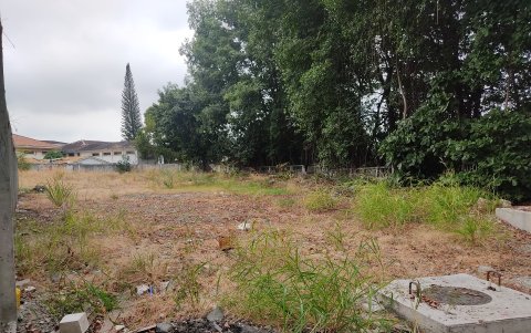 Estructura. Entrar al predio, que está sin uso y acumula tierra, desechos y monte, es fácil: hay dos huecos.