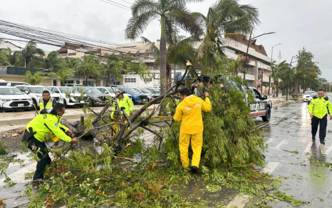 Policías y miembros de Protección Civil levantan arboles caídos tras el paso del huracán Berly en el municipio de Tulum, en Quintana Roo (México).