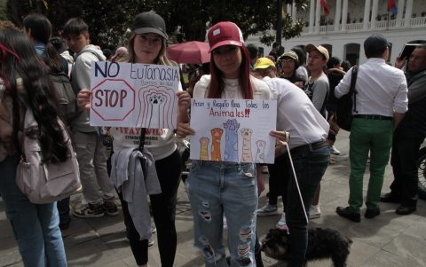 Activistas y ciudadanos exigieron, durante el plantón, la salida de los funcionarios por los procesos de eutanasia aplicados.
