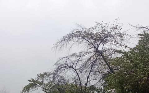 Decenas de ciclistas acuden con frecuencia al sendero del parque Samanes.