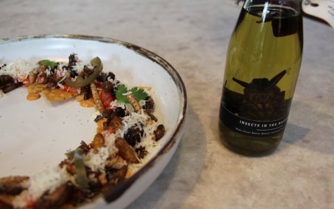 Vista de una de las creaciones del chef tailandés Thitiwat Tantragarn, que fusiona en sus platos cocina occidental e insectos, el ingrediente principal en sus platos.