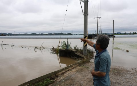 Un hombre hace un gesto cerca de un arrozal sumergido en agua después de fuertes lluvias, en Nonsanon, Corea del Sur, el 10 de julio de 2024. (Corea del Sur).