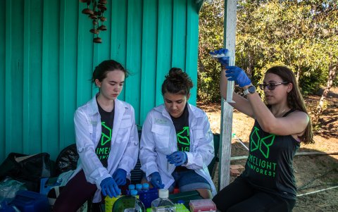 Integrantes del equipo Limelight Rainforest, analizan muestras durante la fase de prueba de su proyecto para el Xprize Rainforest 2024.