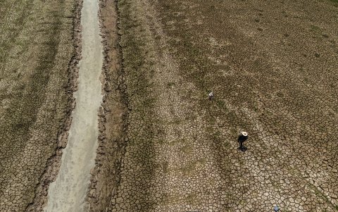 La fuerte sequía que azota la cuenca del Amazonas, en Manaquiri, Amazonas, Brasil.