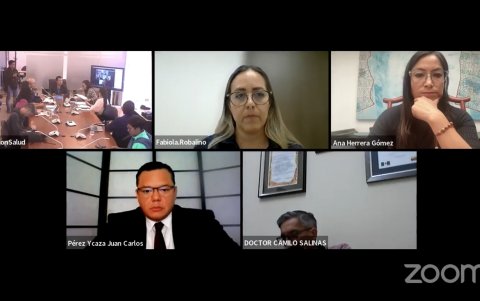 Virtual. Ocho de los legisladores, miembros de la Comisión del Derecho a la Salud y el Deporte, asistieron vía Zoom, a la comparecencia sobre el caso de la Morgue de Guayaquil.