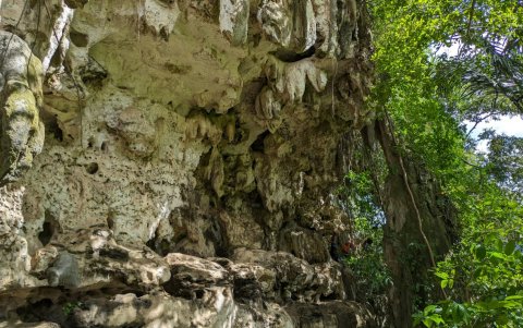 Vista de la entrada de la cueva en la isla indonesia de Sulawesi, donde se encuentra la representación de tres figuras humanas interactuando con un cerdo salvaje.