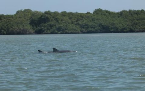 Las aguas de El Morro tienen mejores condiciones, al carecer -casi- de metales en sus sedimentos