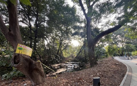 Guayaquil. Varias urbanizaciones se han levantado sobre los ramales del estero Salado, impidiendo que sus aguas fluyan.