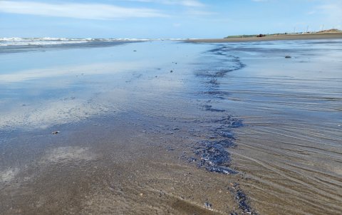 El mar quedó contaminado por el derrame de petróleo.