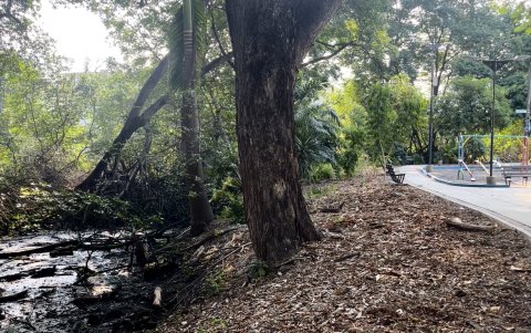 Áreas. Los parques infantiles que están cerca del estero Salado no son habitados por los niños por el olor que emana el brazo de mar.