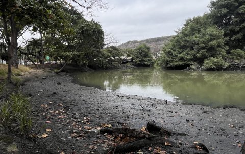 Paisaje. El panorama recordado por muchos guayaquileños difiere con el que ahora observamos.