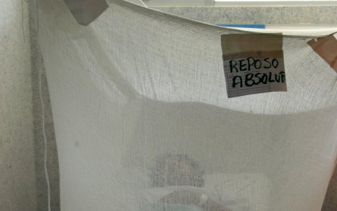 Un enfermo del dengue hemorrágico que permanece en el Hospital General del Estado de Veracruz.