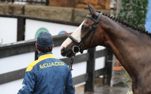 Ronald Zabala con uno de sus caballos durante una competencia.