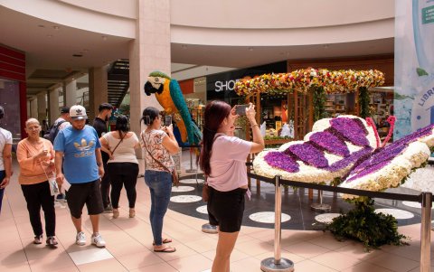 La muestra atrae a decenas de visitantes.