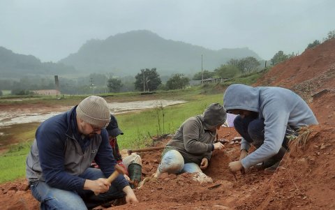 El dinosaurio es uno de los más antiguos descubiertos en el mundo y que quedó expuesto tras las graves inundaciones de mayo en la región.