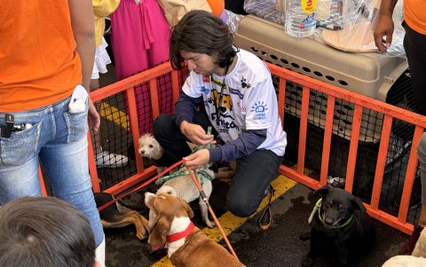 Perritón reunió a más de 5000 personas.
