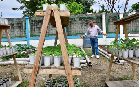 La Alborada busca contribuir desde la creación de huertos.