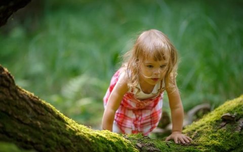 Niñas y niños que vivían en vecindarios más verdes tenían una mejor función pulmonar.