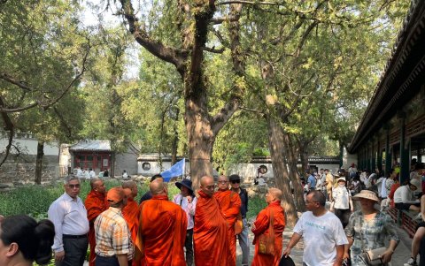 Visitan una serie de antiguas fábricas industriales que han sido transformadas en galerías, estudios de artistas, tiendas y espacios de exhibición.