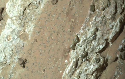 Persevere ha encontrado una interesante roca que podría ser el mejor indicio hasta la fecha de que en el pasado hubo vida microbiana en el planeta rojo.