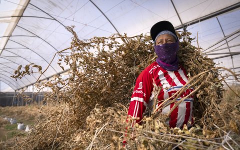Países en el mundo demandan mano de obra de naciones como Ecuador.