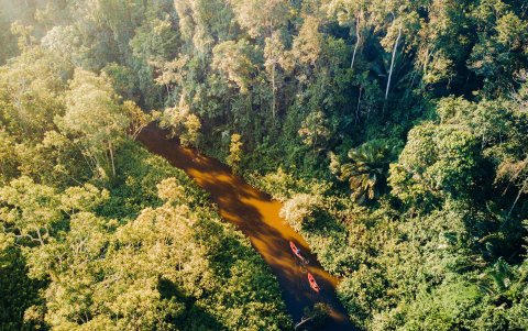 Uno de los ríos que se adentran en la amazonía ecuatoriana.