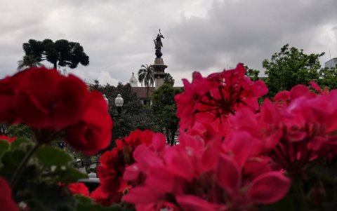 Esta es una opción ideal par quienes buscan hacer recorridos con historia