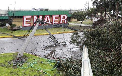 Postes de alumbrado público afectado por un árbol caído producto del fuerte viento y lluvias durante la madrugada de este viernes, en Santiago (Chile).