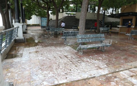 Archivo. Así han lucido los bienes públicos del lugar ante la presencia de las garzas.