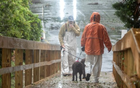Transeúntes pasean a sus perros junto a la playa después de la lluvia.