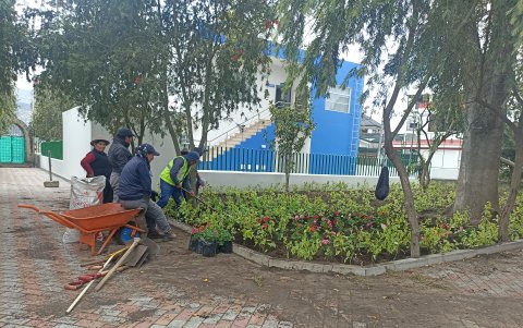 Situación. Cada mes la Municipalidad repone al menos unas 2.000 plantas por los constantes robos que se registran en diferentes espacios públicos, sobre todo los parques.