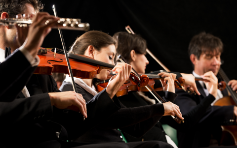 Utilizando estos implantes, el equipo descubrió que la música genera sus efectos antidepresivos.