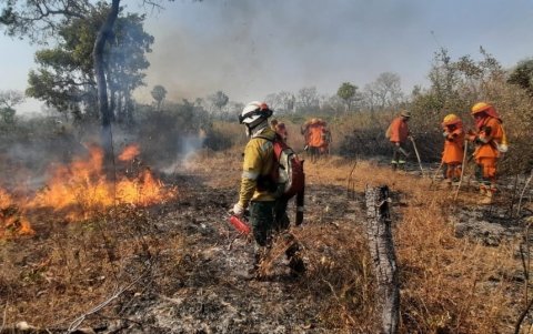 Un bombero recorre una zona bajo fuego. Los incendios son un problema recurrente en Bolivia, donde en 2019 el fuego arrasó más de 5 millones de hectáreas.