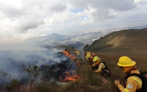 Los bomberos se desplegaron en las laderas del Pichincha, para evitar el avance del incendio forestal.