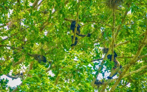 Imagen referencial para graficar este artículo sobre medioambiente.