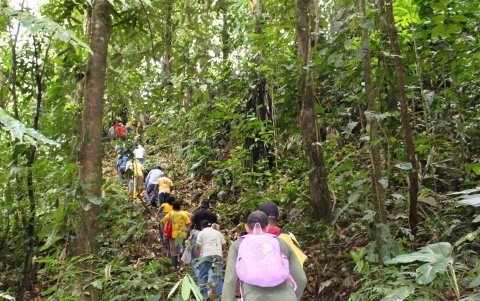 Operativo de búsqueda. Tras varias deliberacones, los vecinos y habitantes del sector se organizaron para salir al campo a buscar al animal, pero no tuvieron suerte.