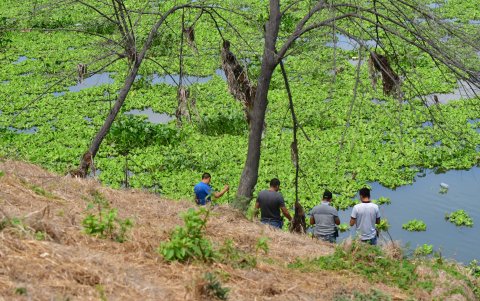 Policías llegaron al lugar para recabar indicios y retirar los cadáveres.