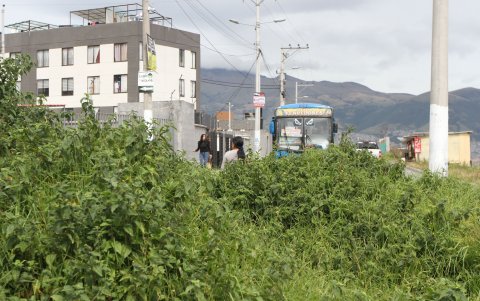 A lo largo de la av. 20, en El Troje, hay un bosque. En los bordes se llena de maleza que sirve como un escondite para los ladrones.