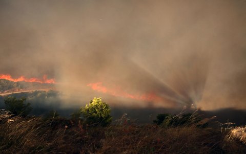 Un humo espeso se eleva durante un incendio forestal que estalló en una zona de tierras de cultivo y bosques en Varnavas, región de Ática, Grecia, el 11 de agosto de 2024.