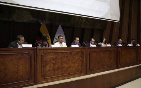 Las expresiones de la legisladora Araujo ocurrieron durante una sesión de la Comisión de Justicia.