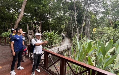 Samborondón. El manglar del Parque Histórico es uno de los sitios más visitados durante los feriados.