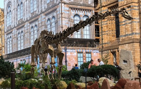 El Museo de Historia Natural de Londres transformó su entrada en un paseo didáctico que cuenta los 2.700 millones de años del planeta.