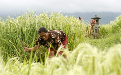 Lugares patrimonio de la Unesco más amenazados por la crisis climática.