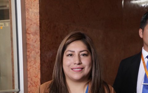 La asambleísta oficialista Inés Alarcón fue quien presentó la acción constitucional.