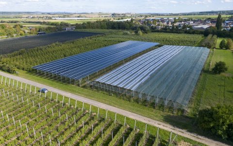 Un complejo de paneles de energía solar en espacios abiertos en Gelsdorf (Alemania).