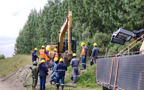Una denuncia anónima ayudó a las autoridades a intervenir.
