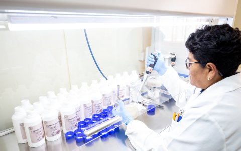 Varias instituciones ofrecen becas, y espacios de investigación en las mismas entidades.