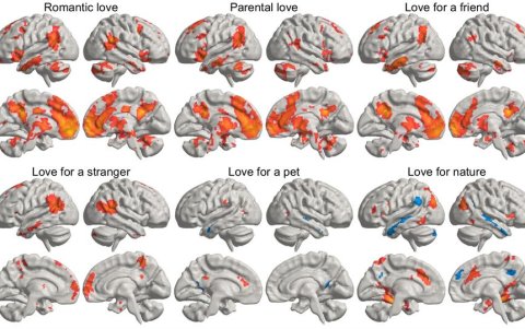 La imagen representa una media estadística de cómo los diferentes tipos de amor 