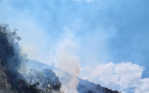 Hasta el momento el fuego a consumido 50 hectáreas de pajonales.