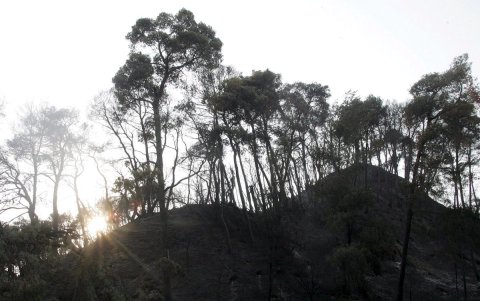 En la imagen de archivo, superficie calcinada en Grecia.